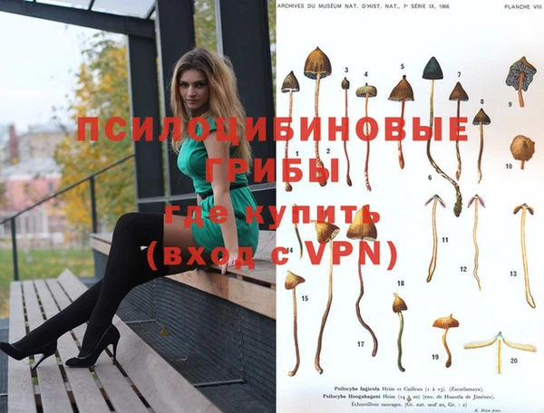 дживик Наволоки