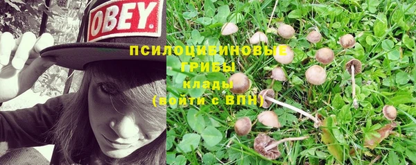 дживик Наволоки