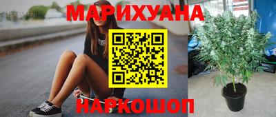 скорость Гусев