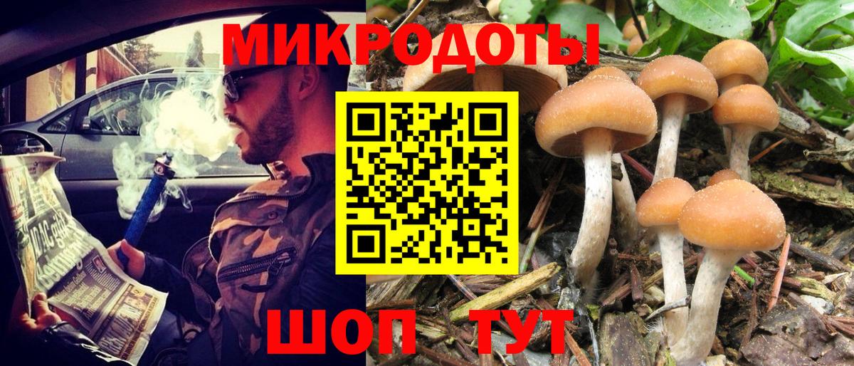 купить наркоту  Псилоцибиновые грибы Psilocybine cubensis  Вход с VPN  Кузнецк  Галлюциногенные грибы Cubensis 